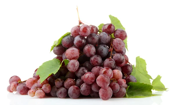 Ripe sweet grapes isolated on whit — Stock Photo, Image