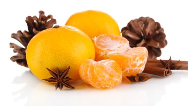 mandalina izole beyaz christmas kompozisyonu