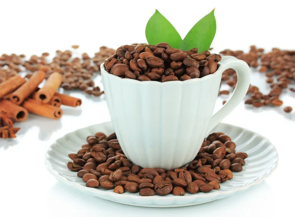 Кофейные зерна в чашке изолированы на белом — стоковое фото