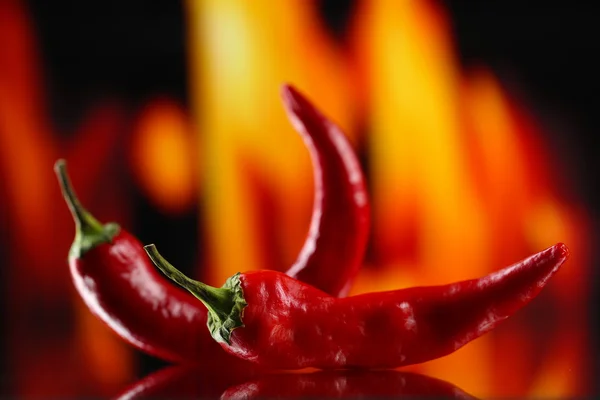 Röd hoade Chilipeppar på brand bakgrund — Stockfoto