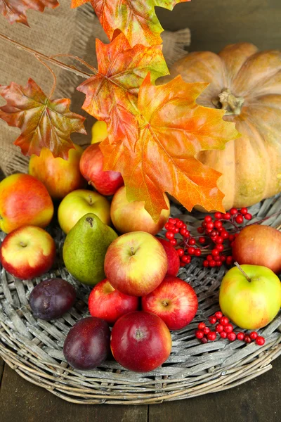Meyve ve tablo yakın çekim üzerinde pumpkins sonbahar kompozisyon — Stok fotoğraf