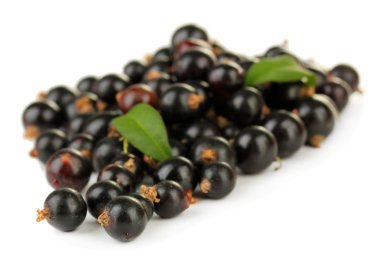 Beyazda siyah frenk üzümü