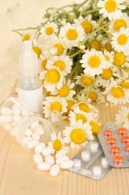 Tıp papatya çiçeği ahşap tablo