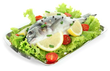 dorado balığı üzerinde beyaz izole