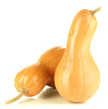 Olgun kabak üzerine beyaz izole