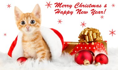 Cute little red kitten in Santa hat isolated on white