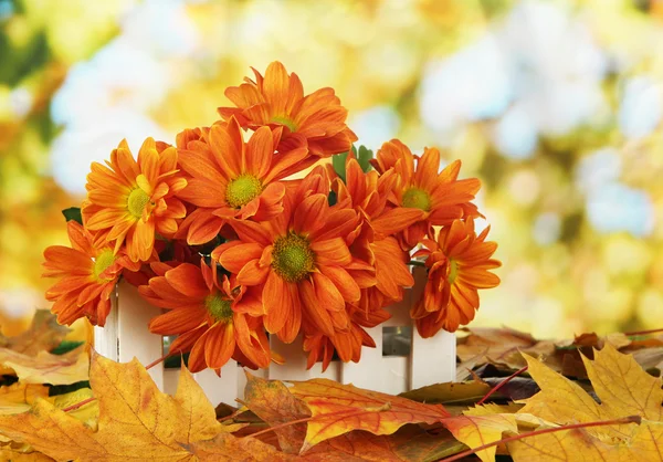 Beautiful autumn leaves with flowers in wooden stand on bright background — Stock Photo, Image