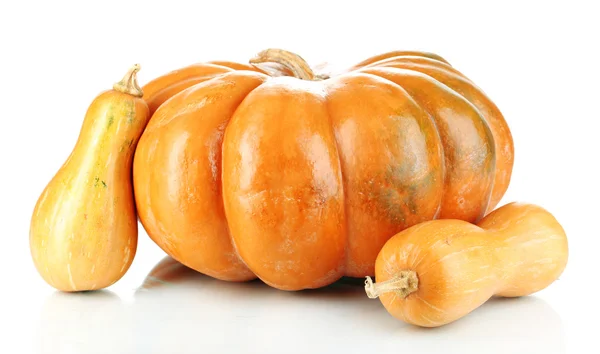 Ripe pumpkins isolated on white — Stock Photo, Image