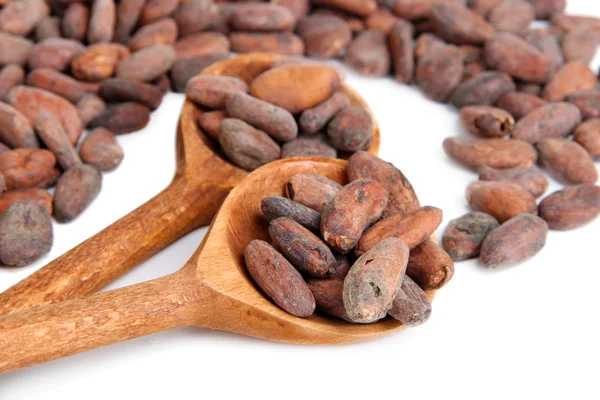 Fagioli di cacao in cucchiai di legno, isolati su bianco — Foto Stock