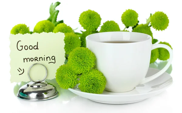 Bellissimo crisantemo verde con tazza di tè isolato su bianco — Foto Stock