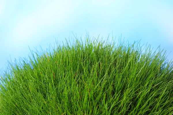蓝色背景上的美丽绿草 — 图库照片