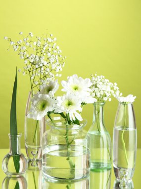 yeşil zemin üzerine çeşitli Cam kaplarda bitkiler