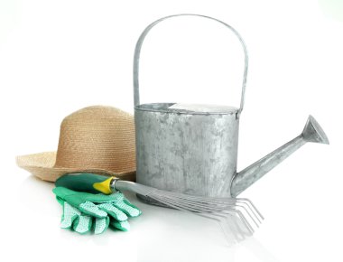 Bahçecilik araçları beyaz üzerine izole