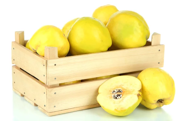 나무 상자 흰색 절연 달콤한 quinces — 스톡 사진