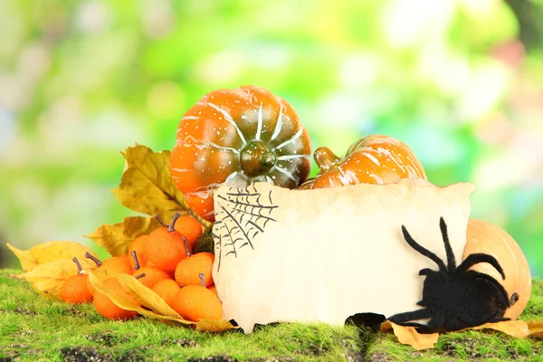 Halloween composition on nature background — Stock Photo, Image