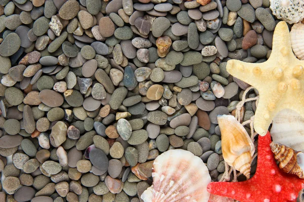 Małe morze kamieni i muszli, z bliska — Zdjęcie stockowe