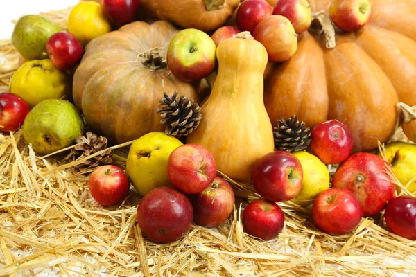 Composizione autunnale di frutta e zucche su paglia Close-up과일과 호박 밀 짚 클로즈업에의을 구성 — 스톡 사진