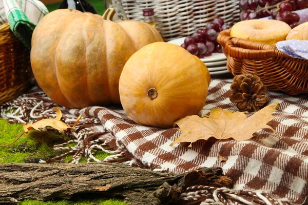 Picknick im Freien aus nächster Nähe — Stockfoto