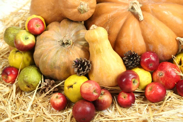 Herfst samenstelling van fruit en pompoenen op stro close-up — Stockfoto