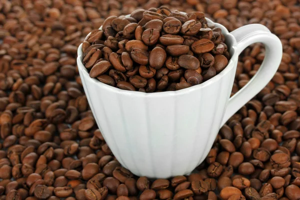 Kaffeebohnen in Tasse Nahaufnahme — Stockfoto