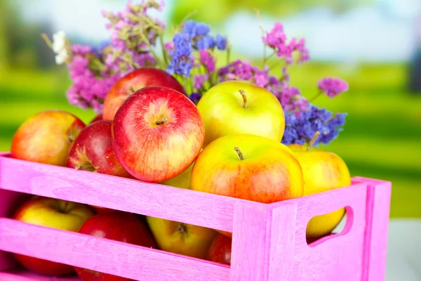 Juicy apples in box on natural background — Stock Photo, Image