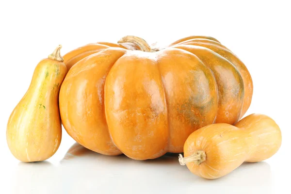 Calabazas maduras aisladas en blanco — Foto de Stock