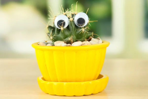 Cactus in bloempot met grappige ogen, op houten vensterbank — Stockfoto