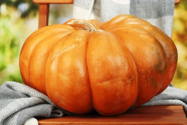 Rijp pompoen op stoel op natuurlijke achtergrond — Stockfoto