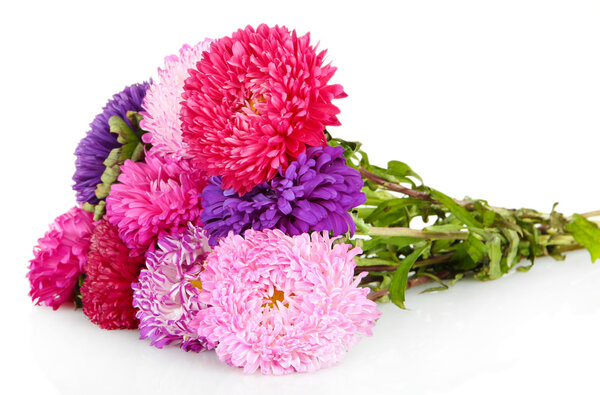 Яркие пасхальные цветы, изолированные на белом
