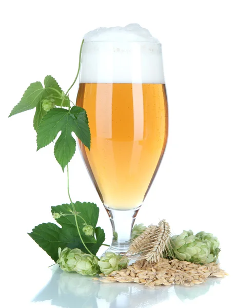 Glass of beer and hops, isolated on white — Stock Photo, Image