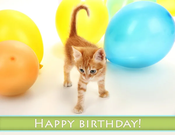 Cute little red kitten in colorful balloons — Stock Photo, Image
