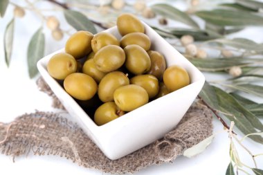 Zeytin dal üstünde çul kase yakın çekim