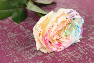 beyaz çiçek farklı boya, renk ahşap arka plan üzerinde renkli