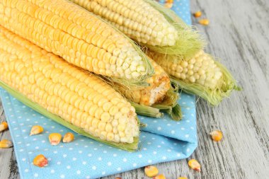 taze Mısır sebze ahşap tablo