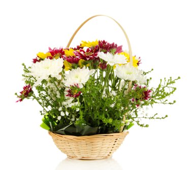 Güzel çiçekler beyaz üzerinde izole.