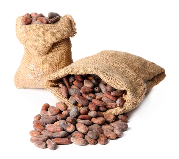 Cocoa beans in bags isolated on white — Stock Photo, Image