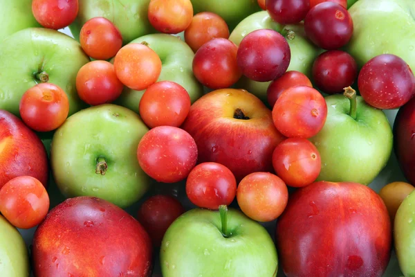 Frutas suculentas fundo — Fotografia de Stock