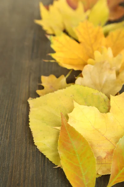 Bright autumn leafs on wooden table — Stock Photo, Image