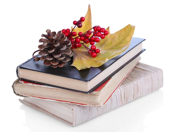 Bücher und Herbstblätter isoliert auf weiß — Stockfoto