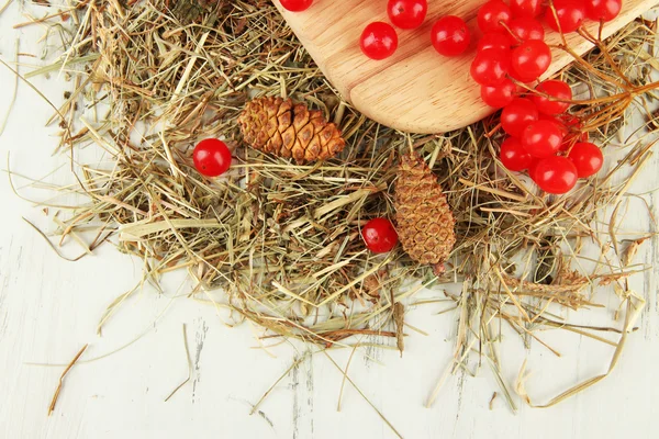 红色浆果的荚蒾台上用干草和木制背景上颠簸 — 图库照片