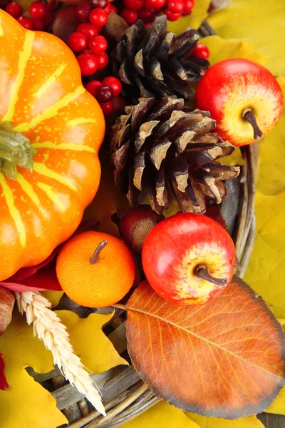 Mooie herfst compositie, close-up — Stockfoto