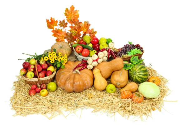 A gyümölcsök és zöldségek elszigetelt fehér összetétele — Stock Fotó