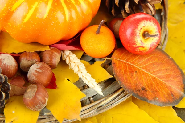 Schöne Herbstkomposition, Nahaufnahme — Stockfoto