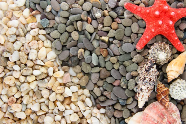 Pequenas pedras marinhas e conchas, de perto — Fotografia de Stock