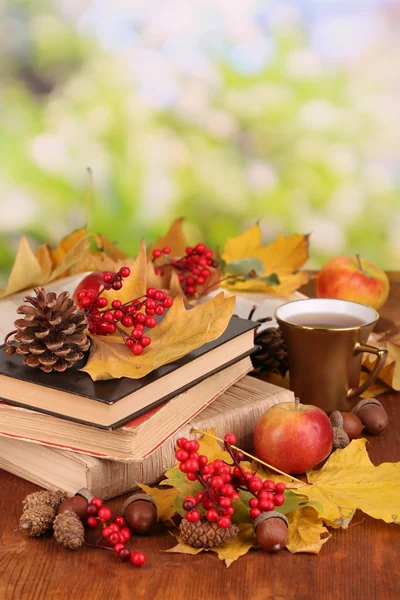 Boeken en de herfst bladeren op houten tafel op natuurlijke achtergrond — Stockfoto