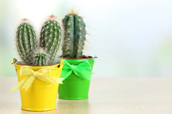 Beautiful cactuses in bright pails on wooden table — Stock Photo, Image