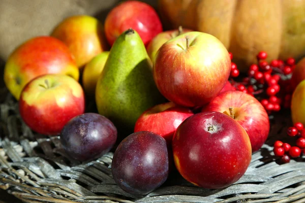 Herbstliche Komposition von Früchten und Kürbissen auf dem Tisch in Großaufnahme — Stockfoto