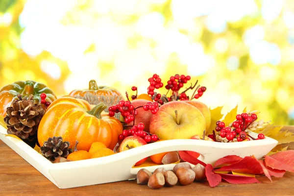 Beautiful autumn composition, on nature background — Stock Photo, Image