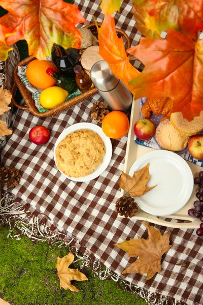 Picnic al aire libre de cerca — Foto de Stock