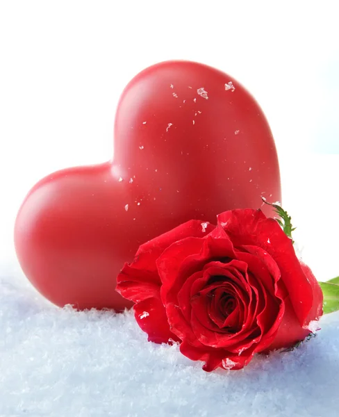 Red rose on snow background — Stock Photo, Image